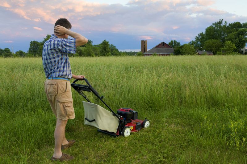 field and pasture mowing