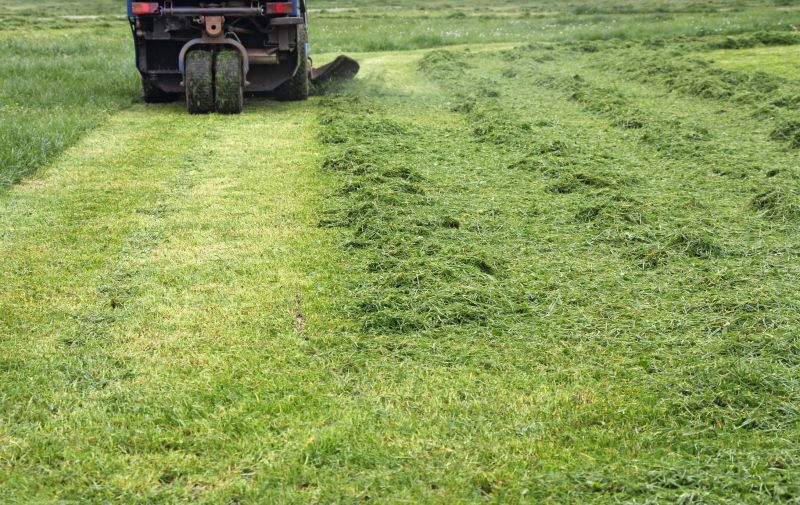 Field Size and Mowing Cost