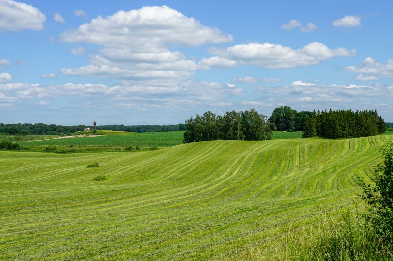 Field And Pasture Mowing
