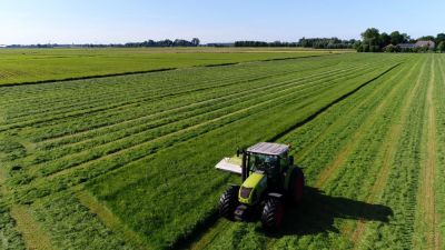 Field And Pasture Mowing - Field And Pasture Mowing Pineville, Louisiana
